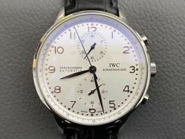 Picture of IWC Watch _SKU1768773999631532